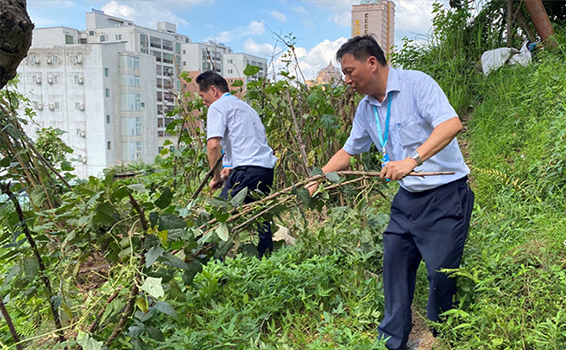 香港宝典六库图